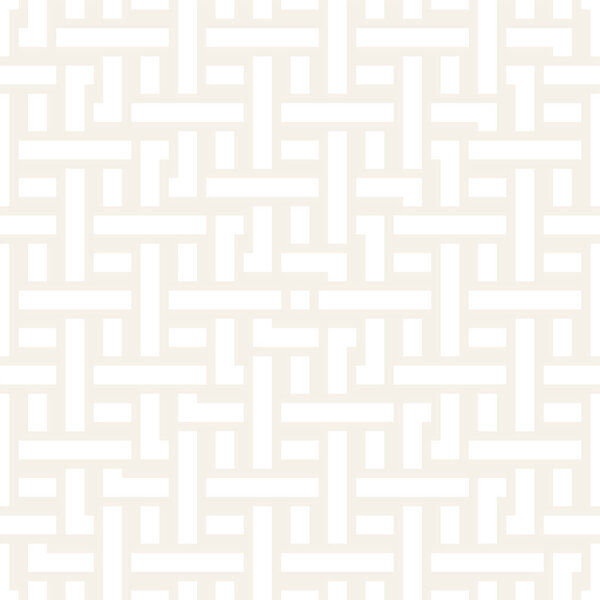 Переплетение линий тонкой решетки. Этническая монохромная текстура. Векторный бесшовный черно-белый пластырь
.