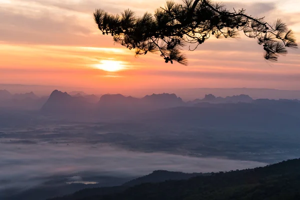 Όμορφη ανατολή του ηλίου με πολύχρωμο ουρανό στην κοιλάδα του βουνού στο εθνικό πάρκο Phukradung, Ταϊλάνδη. — Φωτογραφία Αρχείου