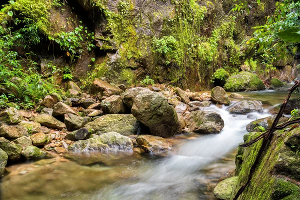 Bela cachoeira da montanha na floresta tropical. Umpang, Tailândia — Fotografia de Stock