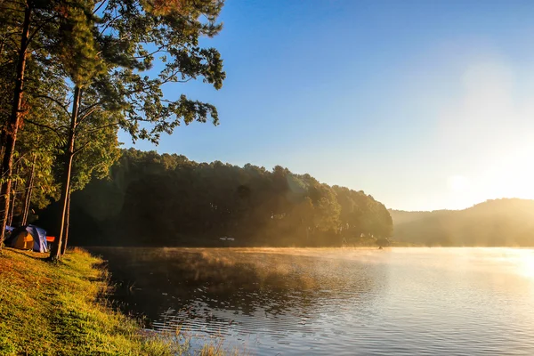Pangung λίμνη και πεύκα δάσος δέντρα με ζεστό φως του ήλιου το πρωί — Φωτογραφία Αρχείου