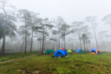 Orta Kış sisin içinde kamp alanı.