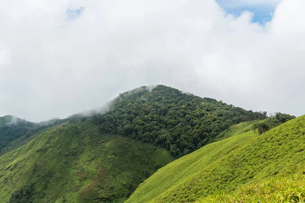 Yağmur ormanı sabahı bir ulusal parkta dağ sırtı üzerinde.