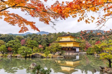 Sonbahar sezonu Kinkakuji Tapınağı (Golden Pavilion): Kyoto, Japan.