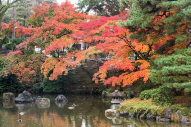 Sonbahar Kyoto, Japonya'nın gelirken Parkı.