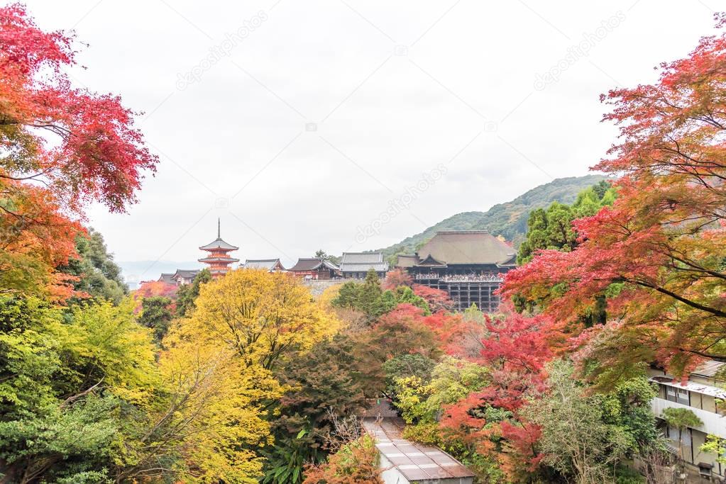 Kiyomizu or Kiyomizu-dera temple in autum season in Kyoto, Japan