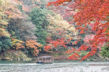 Yelkenli tekne sonbahar, Arashiyama, Kyoto, Japonya