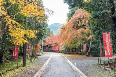 Daigoji Tapınağı geçit akçaağaç Sonbahar sezonu ile. Kyoto, Japonya.