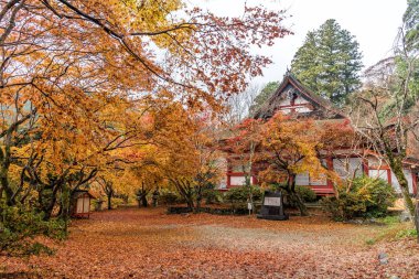 Tanzan Tapınak sonbahar, Nara-Ken, Japonya