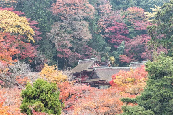 Färgglad höst i Tanzan Shrine, Nara prefektur, Japan — Stockfoto