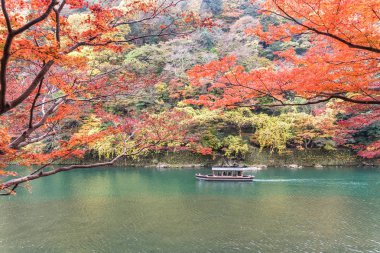 Yelkenli tekne sonbahar, Arashiyama, Kyoto, Japonya