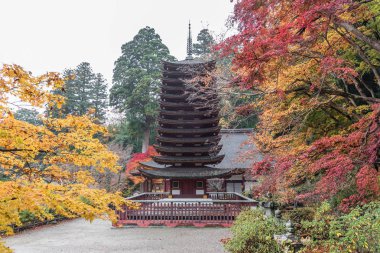 Pagoda adlı Tanzan Tapınak sonbahar, Nara-Ken, Japonya