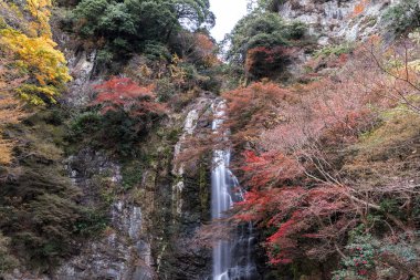 Minoo şelale Park'ta sonbahar, Minoh, Osaka, Japonya
