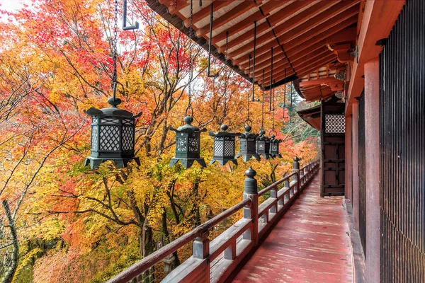 Tanzan Tapınak sonbahar, Nara-Ken, Japonya