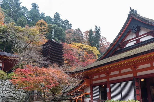 Pagoden på Tanzan Shrine i höst, Nara prefektur, Japan — Stockfoto