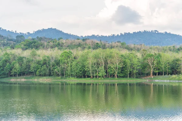 Jezero a deštný prales na pošmourné ráno — Stock fotografie