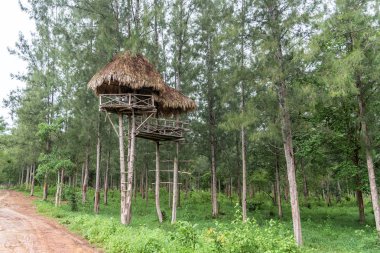 Bir ağaç görünümlü hayvanlar için şirketten.