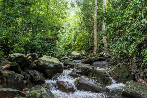 Cascada de Krok-E-Dok y selva tropical en la montaña en el Parque Nacional Khao Yai, Tailandia . — Foto de Stock