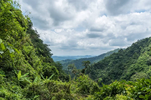 Dağ manzarası ile bulutlu gökyüzü üzerinde yeşil orman.