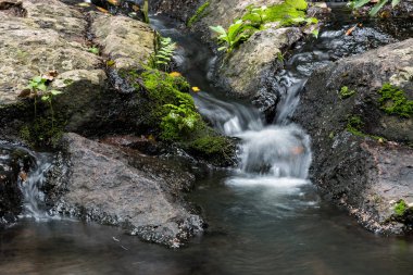 Milli Parkı, Tayland'da yağmur ormanlarında küçük şelale.