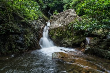 Krak-E-Dok şelale ve yağmur ormanı dağ Khao Yai Milli Parkı, Tayland.