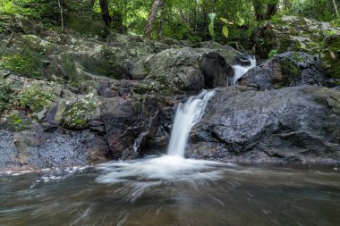 Khao Yai Milli Parkı, Tayland, Thailand, yağmur ormanlarında ched Kod şelale.