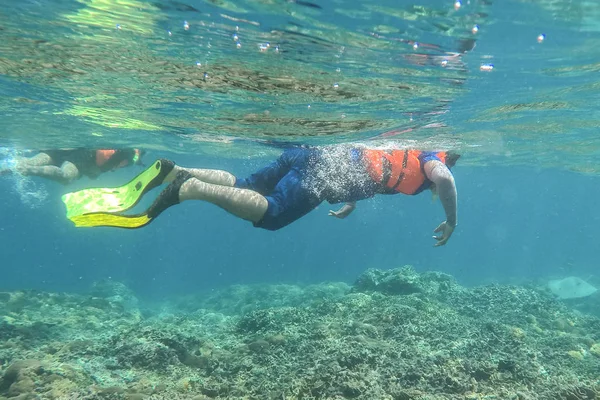 Der Mensch schnorchelt im tropischen Meer, um Korallenriffe auf Gili Meno zu sehen. lombok, indonesien. Stockfoto