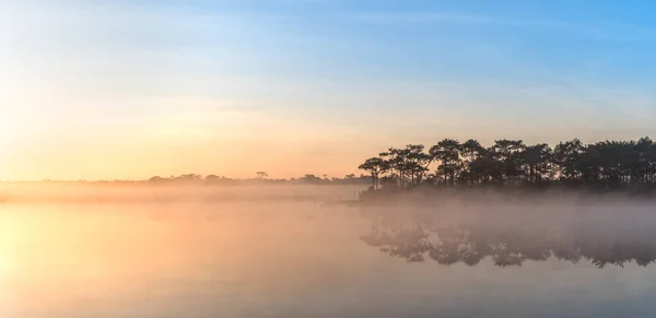 Manhã nascer do sol sobre o lago com silhueta pinhal refletir sobre a superfície da água em Phu Kradueng, parque nacional na Tailândia . — Fotografia de Stock