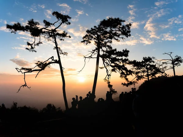 Πολύχρωμο ουρανό και σιλουέτα της άνθρωποι βλέποντας την Ανατολή του ηλίου στο εθνικό πάρκο Phukradueng, Ταϊλάνδη. — Φωτογραφία Αρχείου