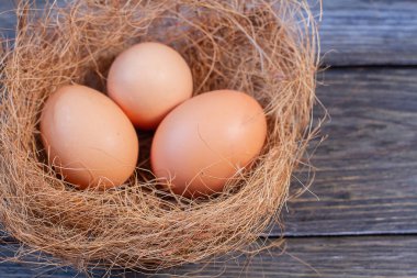 Beyaz arka planda tek yumurtalı yuva