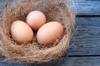 Beyaz arka planda tek yumurtalı yuva