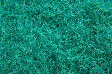 Renkli sünger detay dokusu, sünger doku arkaplanı