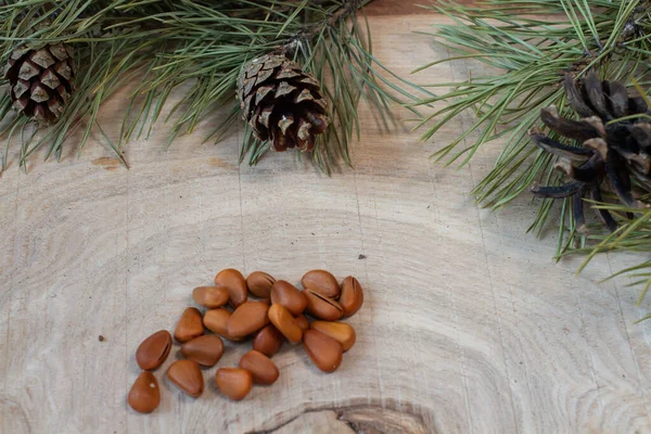 Sibirya cüce çam ağacının (Pinus Pumila) iki konisinin üst görüntüsü. Kapalı doğal çiçekli arka plan, Noel havası.