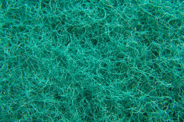 Renkli sünger detay dokusu, sünger doku arkaplanı