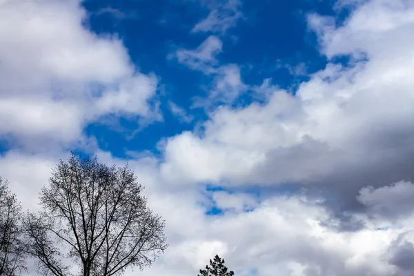 Regenwolken Vor Blauem Himmel — Stockfoto