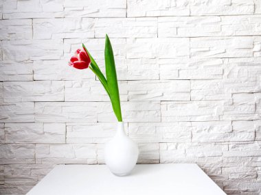 bahar çiçekleri laleler 