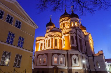Sokağın Tallinn Estonya gece görünümü