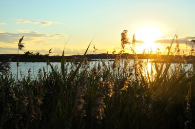 Norveç, göl, reed ve Kuzey gökyüzü.