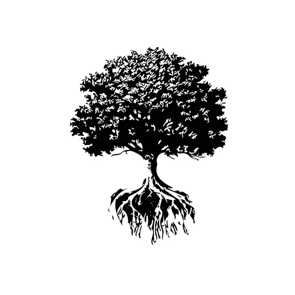 Bomen en wortels silhouet — Stockvector