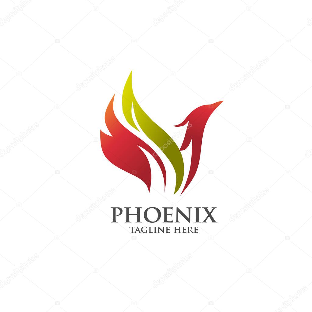 Best luxury phoenix consulting element logo vector concept