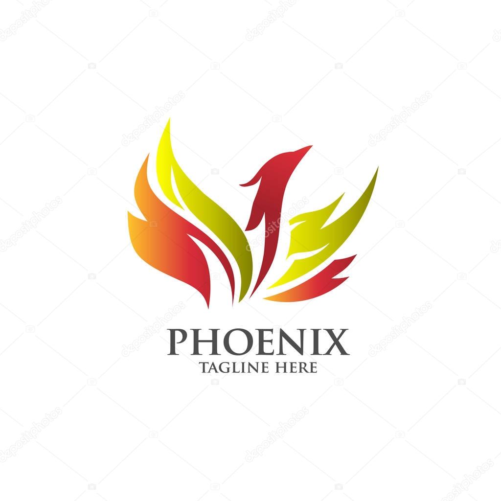 Best luxury phoenix consulting element logo vector concept