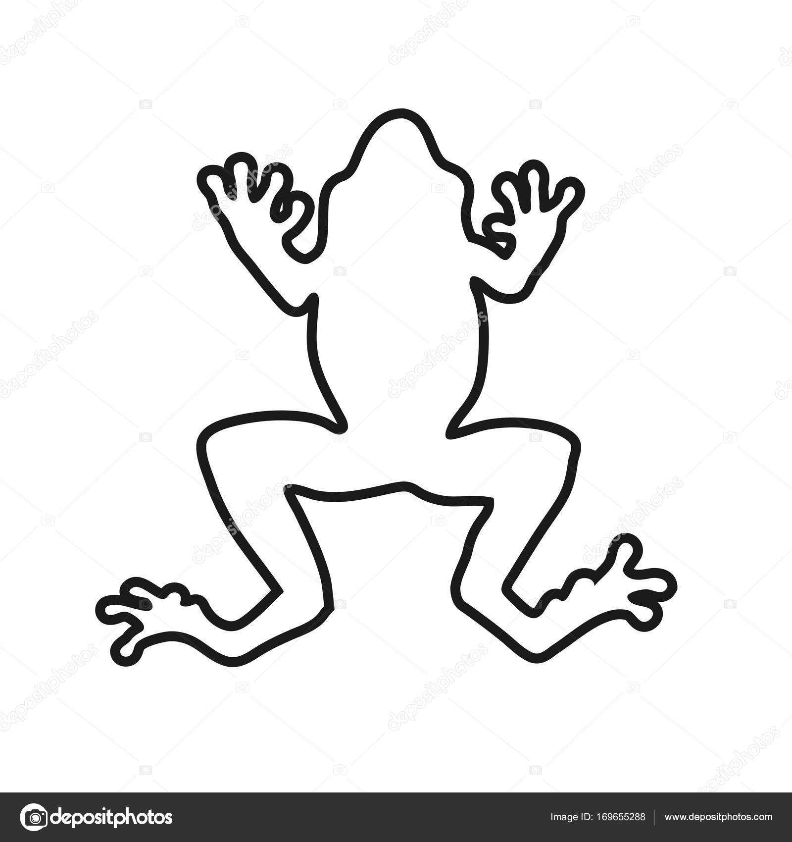 Kikker Lijnen Vector Illustratie Stockvector Krustovin 169655288