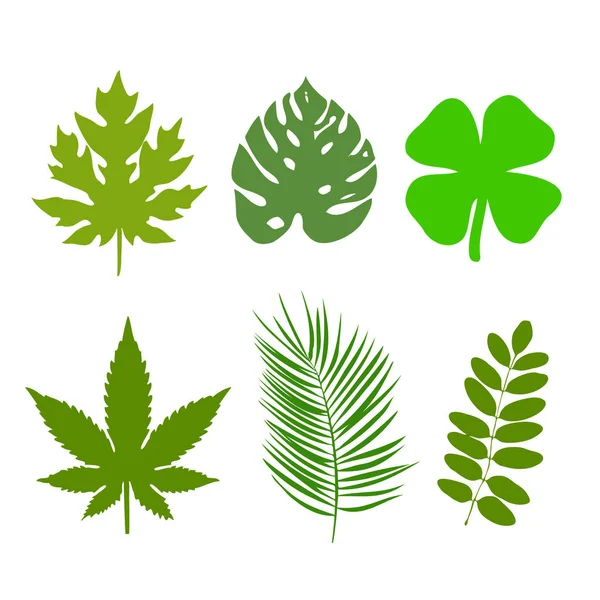 Green Leaf Ecology Nature Element Vector Logo Design Shape Leaf — Stock Vector