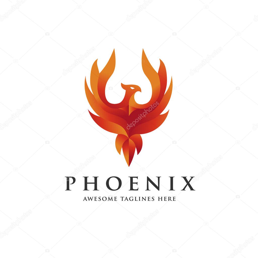 Luxury phoenix logo concept, best phoenix bird logo design, phoenix vector logo