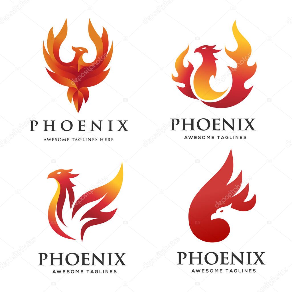 luxury phoenix logo concept, best phoenix bird logo design, phoenix vector logo,creative logo of mythological bird , a unique bird , a flame born from ashes