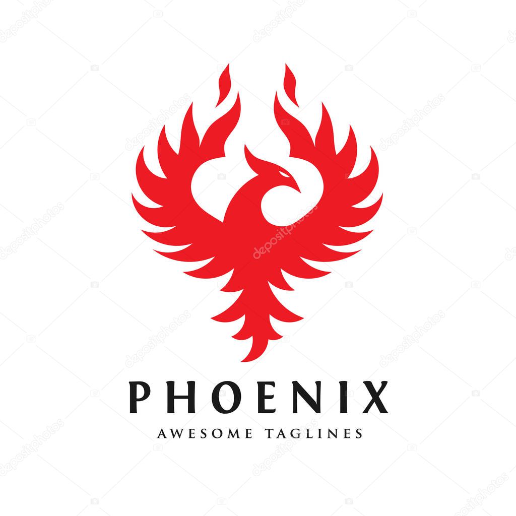 Luxury phoenix logo concept, best phoenix bird logo design, phoenix vector logo