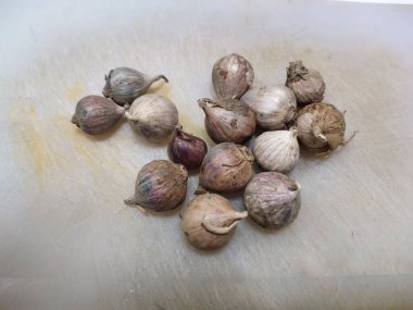 Kesme tahtasında tek sarımsak ampulleri, kopyala boşluk, yakın çekim, seçici odaklanma