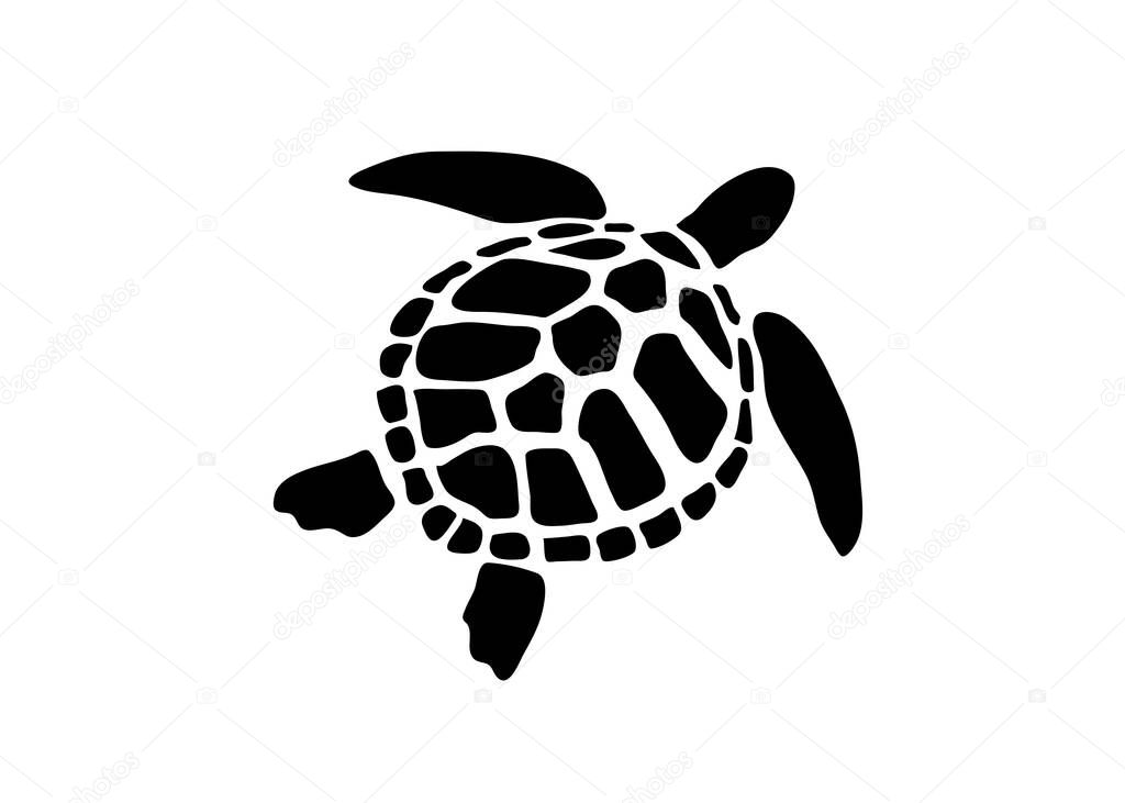 Vector of turtle design on white background. Wild Animals, Business logo wild sea animals tortoise vector