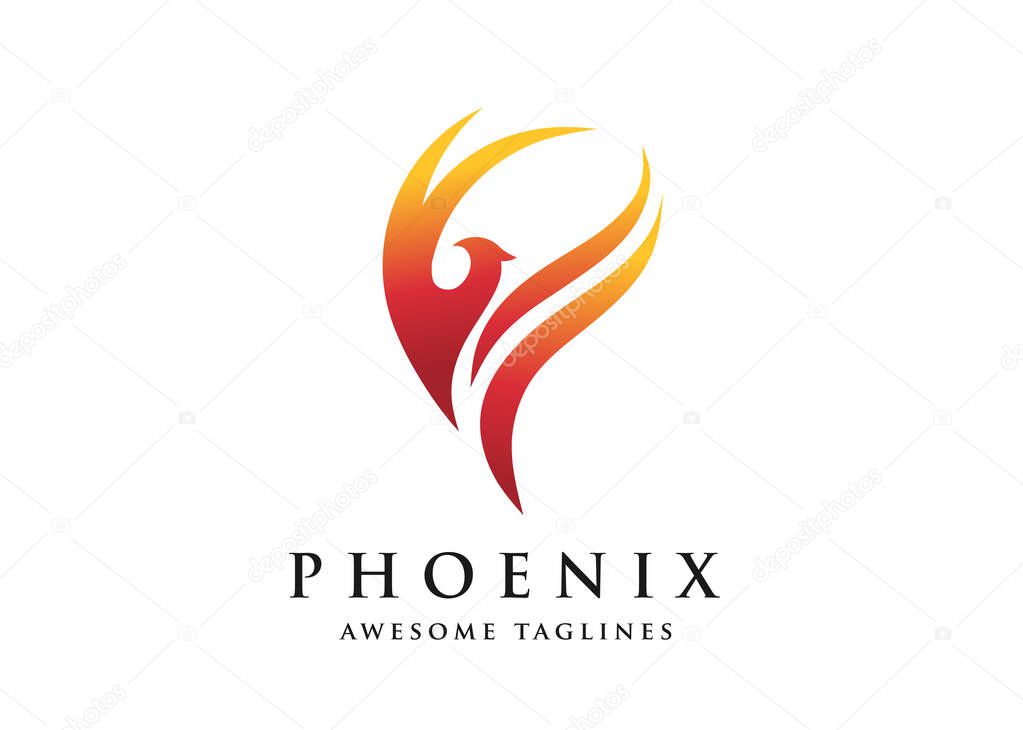 Fire bird phoenix logo design vector illustrations graphic.
