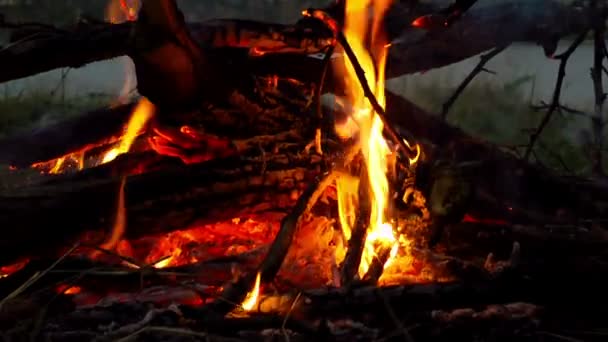 Alev yanan ateşi — Stok video