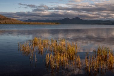 Göl ve dağların diğer tarafta çimen.